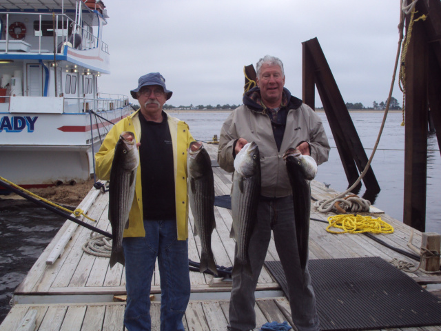 Striped Bass charters in Newburyport